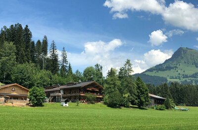Wald am See Ein ruhiges Landschaftsbild mit traditionellen Holzhäusern und grünen Wiesen. Im Hintergrund erhebt sich ein malerischer Berg unter einem blauen Himmel mit Wolken.