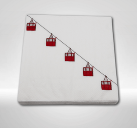 Paper napkins