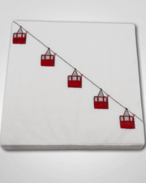 Paper napkins
