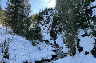 Ein schmaler Bachlauf fließt durch eine verschneite Waldschlucht mit Nadelbäumen.
