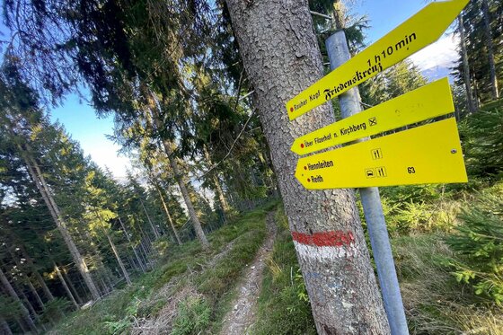 Wegweiser am Kaiserblickweg Gelbe Wegweiser an einem Baumstamm neben einem schmalen Waldpfad mit rot-weißer Markierung.