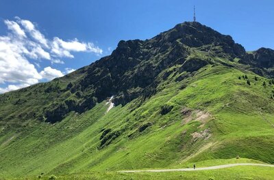 Blick auf einen grasbewachsenen Berghang mit felsigem Gipfel und einer Sendeantenne unter blauem Himmel.