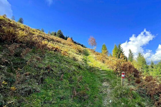 Schmaler Wiesenpfad an einem steilen Hang mit rot-weißer Wegmarkierung unter blauem Himmel.