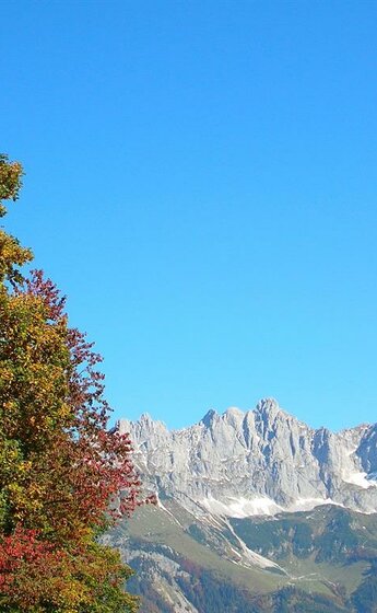 Ausblick