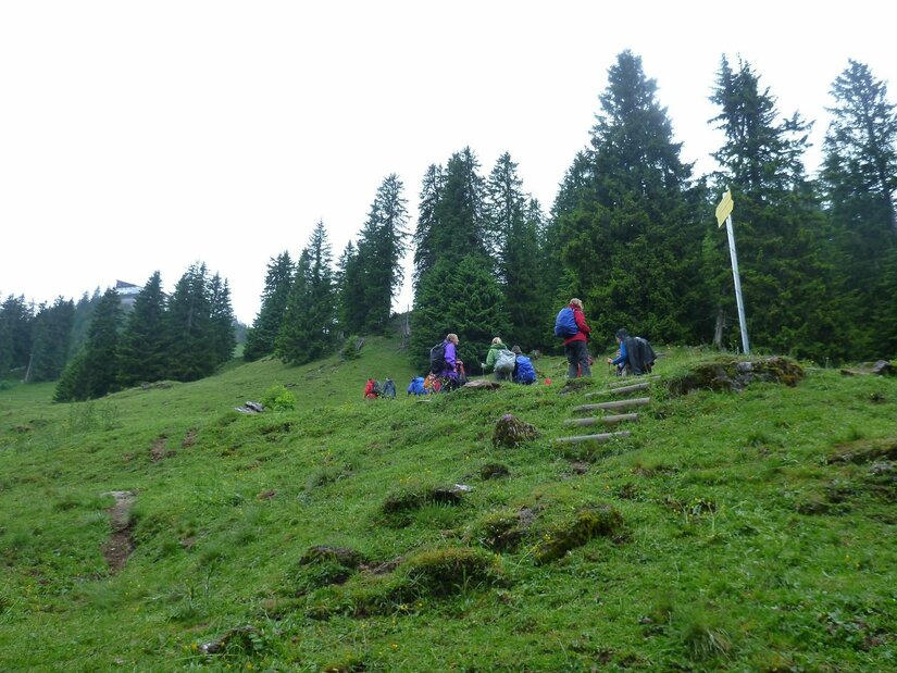 Wandergruppe auf einer grünen Bergwiese vor einem Nadelwald mit Wegweiser.