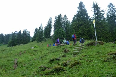 Wanderer am Rechegg Wandergruppe auf einer grünen Bergwiese vor einem Nadelwald mit Wegweiser.