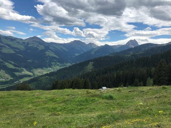 Aussicht am Wiegalmtrail Blick über eine grüne Almwiese auf bewaldete Berghänge und entfernte Gipfel unter bewölktem Himmel.