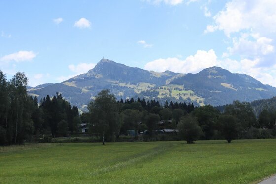 Blick über eine grüne Wiese und Bäume auf ein bewaldetes Bergmassiv unter blauem Himmel.
