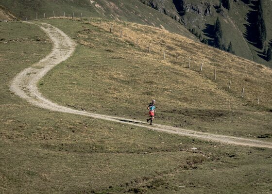 Ein Trailrunner läuft auf einem geschwungenen Schotterweg über eine alpine Graslandschaft.