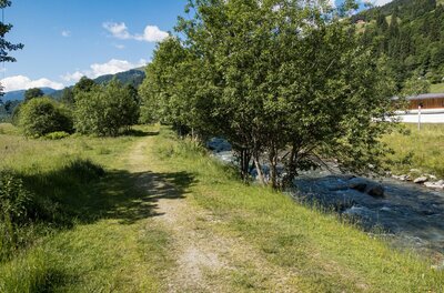 Ein schmaler Schotterweg führt entlang eines kleinen Flusses durch eine grüne Wiese mit Bäumen.