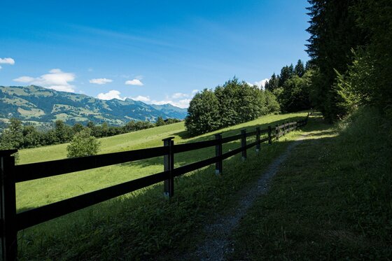 Ein schmaler Wanderweg verläuft neben einem dunklen Holzzaun an einer grünen Wiese mit Blick auf Berge.