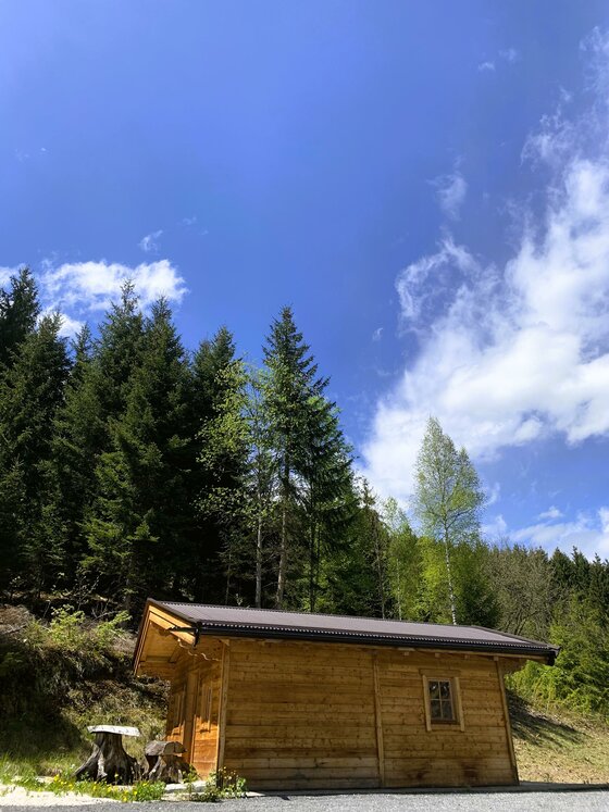image00008 Eine kleine Holzhütte umgeben von Bäumen und grünem Gras. Der Himmel ist blau mit einigen weißen Wolken.
