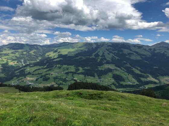 Aussicht am Wiegalmtrail Blick von einer grünen Bergwiese auf bewaldete Hänge und ein Tal unter bewölktem Himmel.