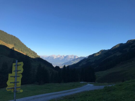 Gelber Wegweiser an einer Weggabelung in einem bewaldeten Bergtal unter blauem Himmel.