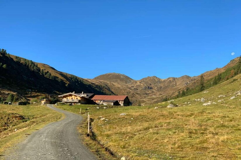Trattenbachalm im Sommer Schotterweg führt zu einer Holzhütte in einem alpinen Tal unter blauem Himmel.