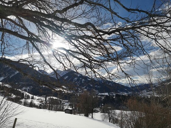 Winterliche Sonnbergrunde Blick durch kahle Baumzweige auf eine verschneite Berglandschaft mit Tal und Häusern unter blauem Himmel.