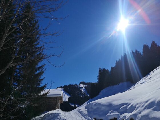 Verschneiter Hang mit Holzhütte, Nadelwald und strahlender Sonne unter blauem Himmel.