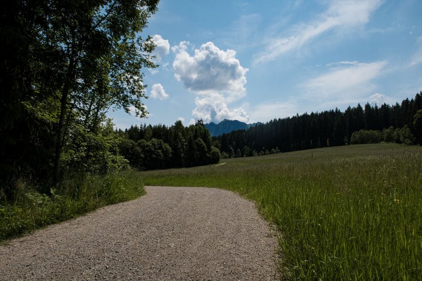 Ein geschotterter Wanderweg führt durch grüne Wiesen und Wälder unter blauem Himmel mit Wolken.