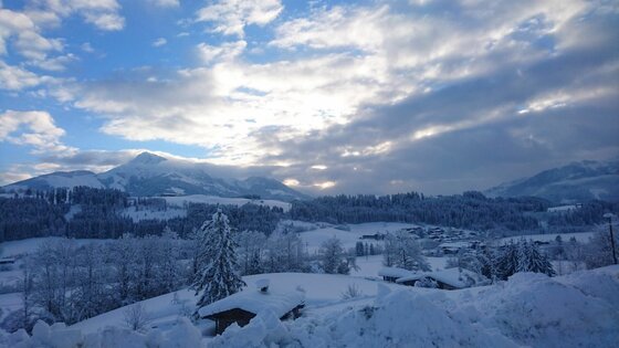 Verschneite alpine Landschaft mit Holzhütten, Nadelwald und Bergen unter bewölktem Himmel.