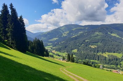 Blick über eine grüne Almwiese mit Fahrweg auf bewaldete Berge unter blauem Himmel mit Wolken.