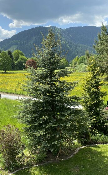 Ausblick - Gartenblick -GB