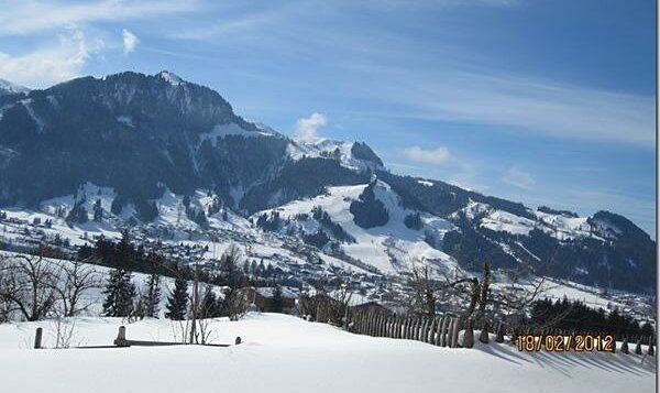 winterausblick