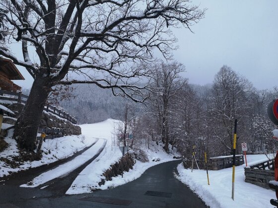 Winterliche Straße am Hagstein Verschneite Straßengabelung am Hagstein mit kahlen Bäumen und schneebedeckten Hängen unter grauem Himmel.