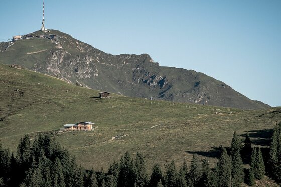 Blick auf das Kitzbüheler Horn mit Sendemast, Almhütten und grünen Hängen unter blauem Himmel.