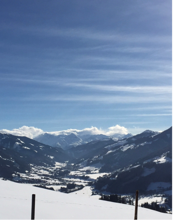 Blick über ein verschneites Tal auf bewaldete Berge und schneebedeckte Gipfel unter blauem Himmel.
