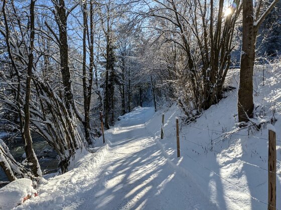Winterwanderweg bei Jochberg Verschneiter Waldweg neben einem Bachlauf bei Sonnenschein.