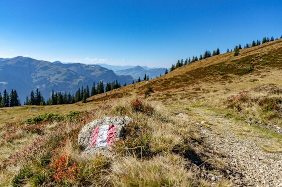Wanderwegmarkierung bei der Bichlalm Ein Stein mit rot-weiß-roter Wanderwegmarkierung neben einem Schotterpfad in alpiner Landschaft.