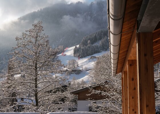 Blick auf die Streif-Abfahrt Blick von einem Holzhaus auf eine schneebedeckte Skipiste am bewaldeten Berghang bei Nebel.