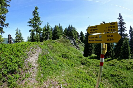 Wegweiser am Bergpfad Gelber Wegweiser an einem schmalen Bergpfad mit Nadelbäumen und grünem Bewuchs unter blauem Himmel.