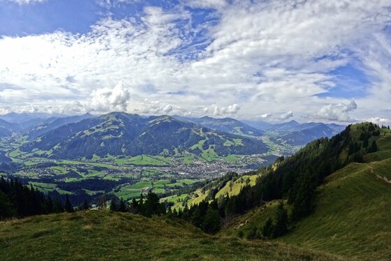 Blick von einem grasbewachsenen Berghang auf ein bewaldetes Tal mit einer Ortschaft unter bewölktem Himmel.