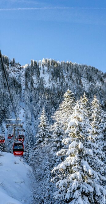 Landschaft Skigebiet Hahnenkamm Winter Gondel (c) 