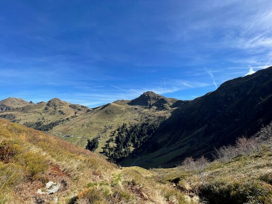 Blick über ein alpines Tal auf grasbewachsene Berggipfel unter blauem Himmel.