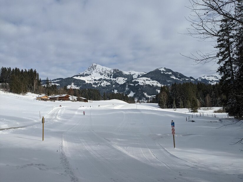 Markus Gandler Loipe Verschneite Langlaufloipe in einer offenen Winterlandschaft mit Blick auf schneebedeckte Berge.