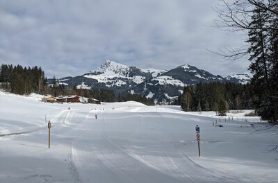 Verschneite Langlaufloipe in einer offenen Winterlandschaft mit Blick auf schneebedeckte Berge.