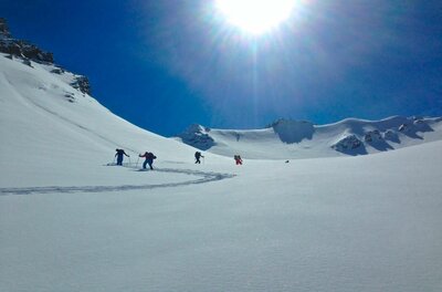 Vier Skitourengeher steigen bei Sonnenschein einen verschneiten Hang hinauf.