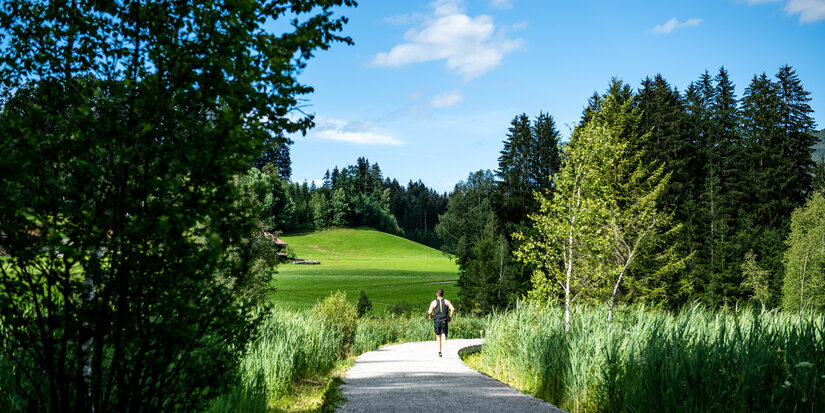Ein Läufer joggt auf einem schmalen Weg, umgeben von üppigem Grün und Bäumen unter einem strahlend blauen Himmel.