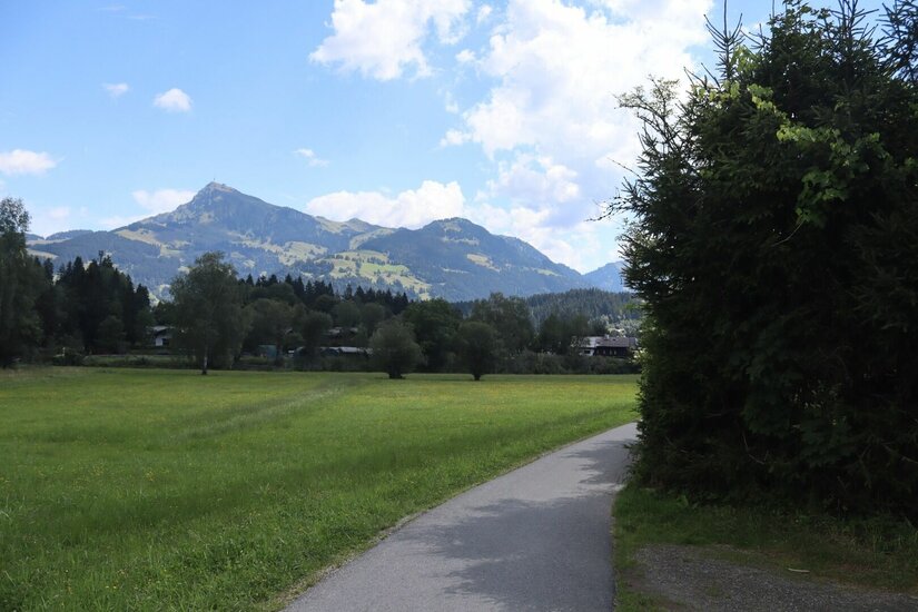 Asphaltierter Radweg führt durch eine grüne Wiese mit Blick auf bewaldete Berge unter bewölktem Himmel.