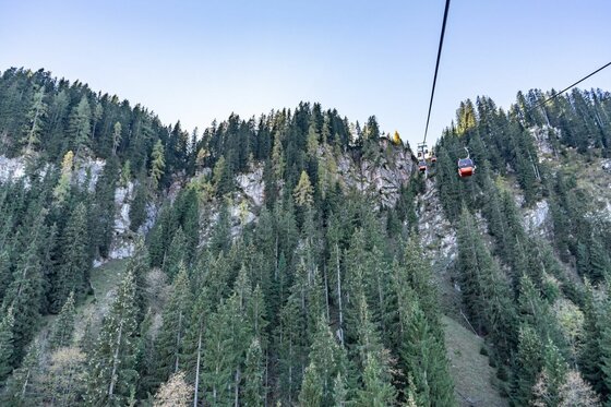 Eine rote Gondel der Seilbahn schwebt über einem dichten Nadelwald an einem steilen Berghang.