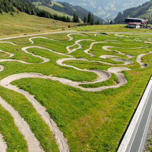 Eine kurvenreiche Strecke aus Schotter und Gras im MTB Family Area bei den 360 Flow Trails in Kitzbühel führt über eine grüne Wiese, umgeben von sanften Hügeln und Bäumen.