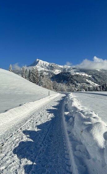 Kitzbüheler Horn