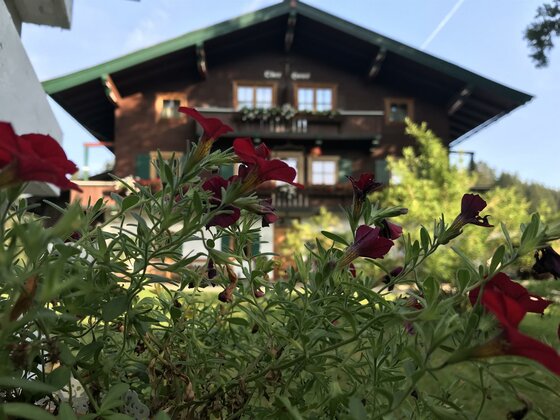 Hof Oberhaus mit Blumenschmuck Rote Blumen im Vordergrund vor einem traditionellen alpinen Holzhaus mit Balkon.