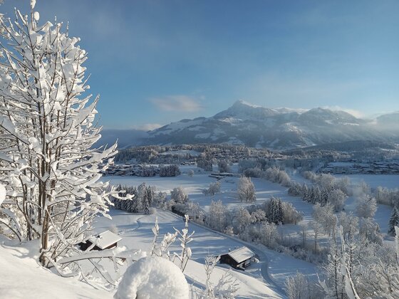 Winterlandschaft am Hennleiten Hof Verschneite Tallandschaft mit schneebedeckten Bäumen im Vordergrund und Bergen im Hintergrund unter blauem Himmel.
