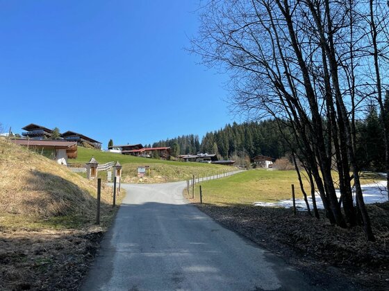 Asphaltierter Weg führt an einer Wiese vorbei zu Häusern am Waldrand unter blauem Himmel.