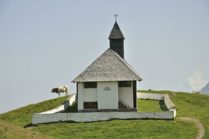 St. Bernhard Kapelle Eine kleine Kirche mit einem spitzen Dach steht auf einem Hügel. Im Hintergrund grasen Kühe auf der grünen Wiese.
