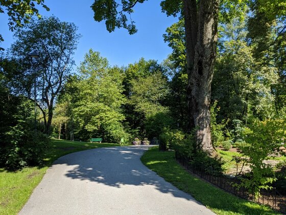 Asphaltierter Spazierweg in einer Parkanlage mit großen Laubbäumen und einer Parkbank unter blauem Himmel.