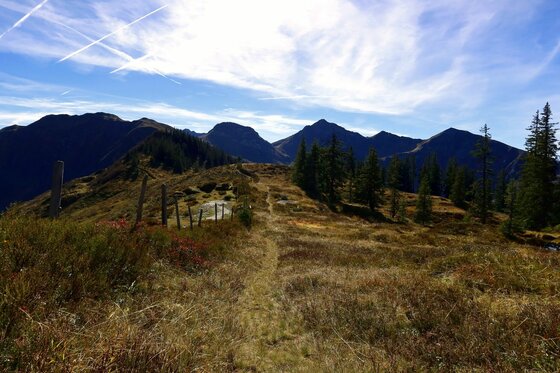 Schmaler Wanderpfad auf einem grasbewachsenen Bergrücken mit Blick auf dunkle Berggipfel unter blauem Himmel.